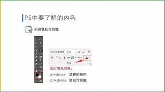 怎样做爆料的视频教学下载,视频教学下载爆料的实用技巧解析